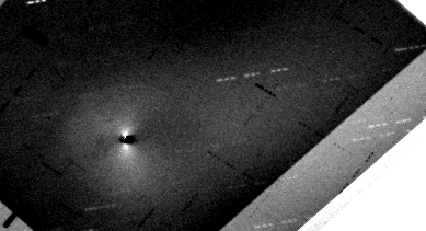 Cometa Lulin (elaborazione immagine con Iris)