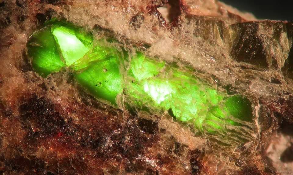 Backlit Pyroxene Megacrys